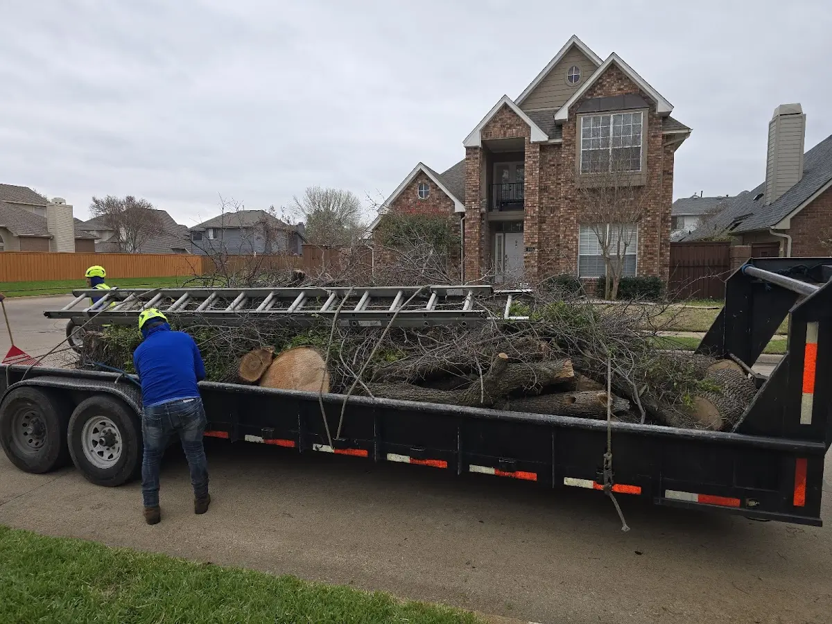 Expert Tree Fertilization with proper safety equipment in Erbacon
